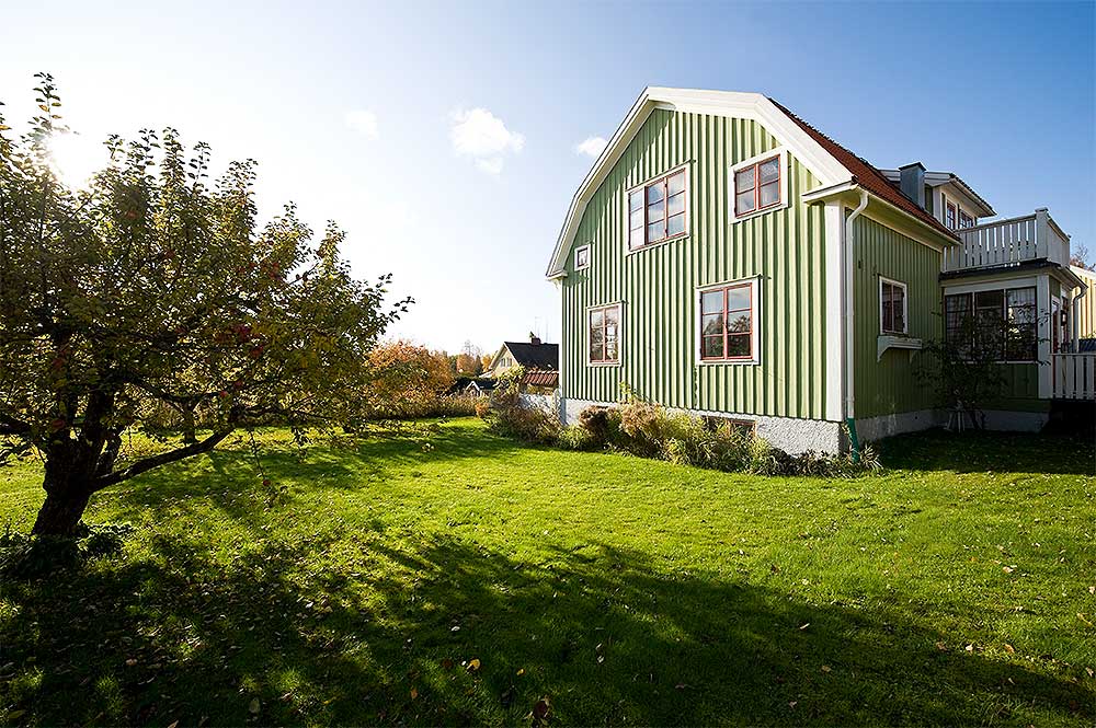 Grön fasad på ett grönt hus